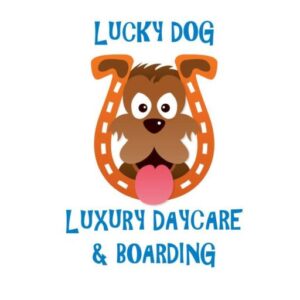 Do-It-Yourself Dog Wash – Lucky Dog Daycare